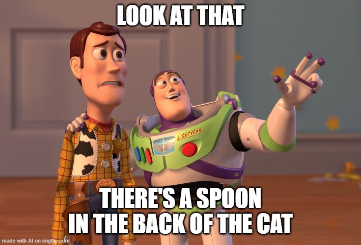 X, X Everywhere | LOOK AT THAT; THERE'S A SPOON IN THE BACK OF THE CAT | image tagged in memes,x x everywhere | made w/ Imgflip meme maker