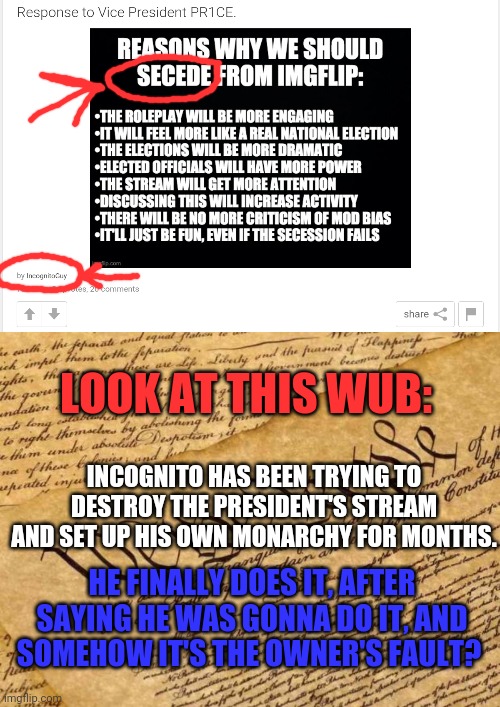 LOOK AT THIS WUB: INCOGNITO HAS BEEN TRYING TO DESTROY THE PRESIDENT'S STREAM AND SET UP HIS OWN MONARCHY FOR MONTHS. HE FINALLY DOES IT, AF | image tagged in constitution | made w/ Imgflip meme maker