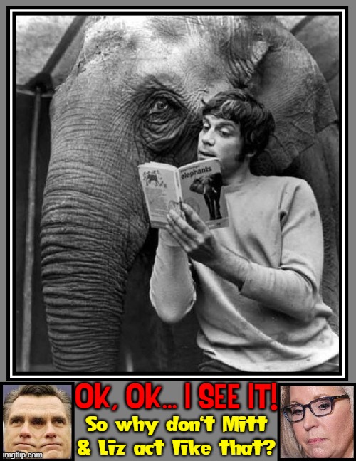 They Look More Like RINOs to me! | OK, OK... I SEE IT! So why don't Mitt & Liz act like that? | image tagged in vince vance,republicans,mitt romney,liz cheney,rino,memes | made w/ Imgflip meme maker
