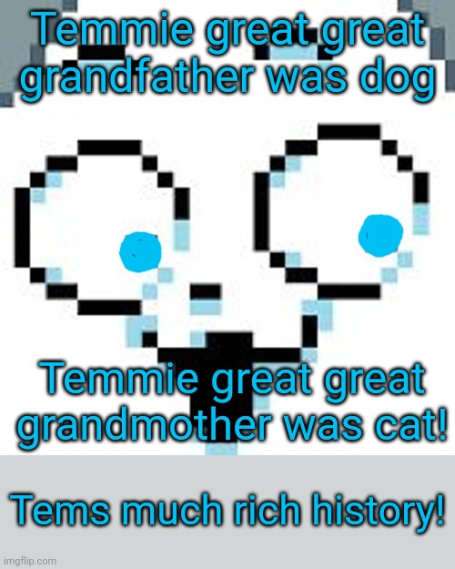 MuCh RiCh HiStoRy! | Temmie great great grandfather was dog; Temmie great great grandmother was cat! Tems much rich history! | image tagged in temmie,rich,history,undertale,cats,doge | made w/ Imgflip meme maker