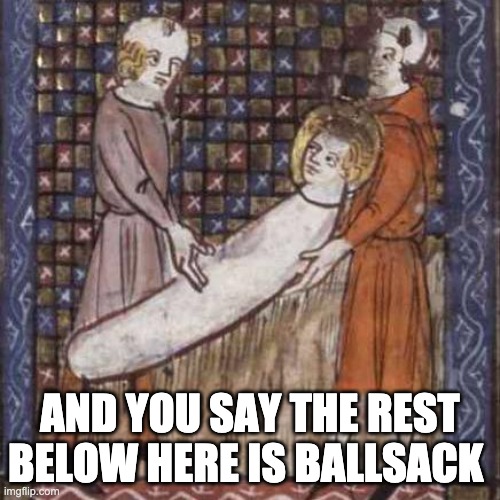 medieval fun | AND YOU SAY THE REST BELOW HERE IS BALLSACK | image tagged in medieval fun | made w/ Imgflip meme maker