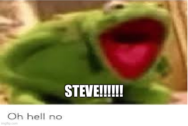 Oh Hell No | STEVE!!!!!! | image tagged in oh hell no | made w/ Imgflip meme maker