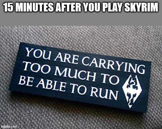 Too much weight,Too SLOW ! | 15 MINUTES AFTER YOU PLAY SKYRIM | image tagged in skyrim | made w/ Imgflip meme maker