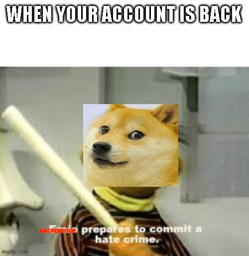 Hacker Doge prepares to commit a hate crime | WHEN YOUR ACCOUNT IS BACK; HACKERDOGE | image tagged in ernie prepares to commit a hate crime | made w/ Imgflip meme maker
