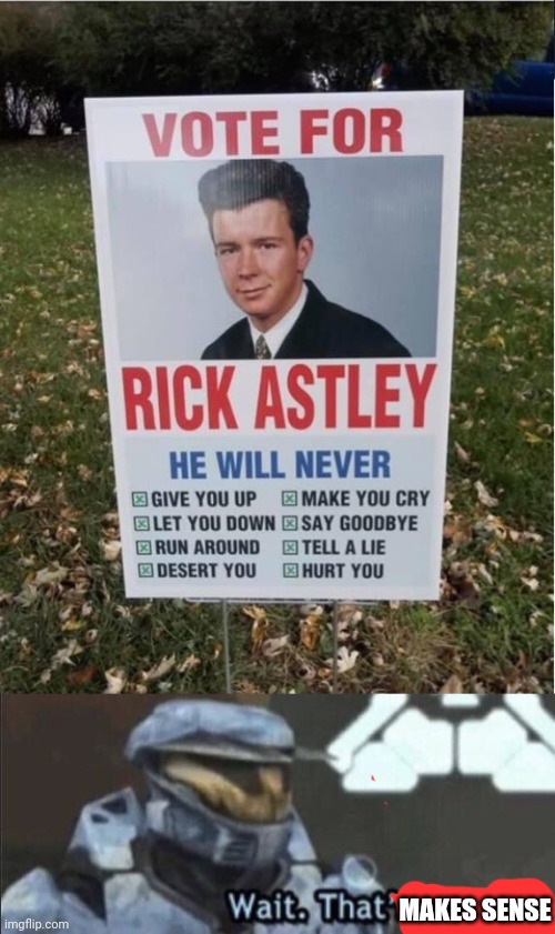 That makes sense | MAKES SENSE | image tagged in wait that s illegal,rick astley,never gonna give you up,rickroll,makes sense | made w/ Imgflip meme maker