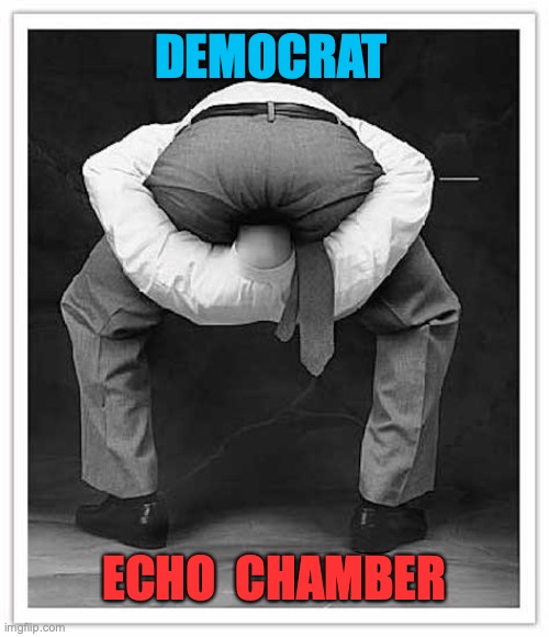 DEMOCRAT; ECHO  CHAMBER | image tagged in democrat,dnc,political meme | made w/ Imgflip meme maker