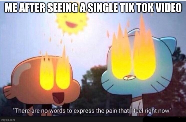 Amazing World Of Gumball | ME AFTER SEEING A SINGLE TIK TOK VIDEO | image tagged in amazing world of gumball | made w/ Imgflip meme maker