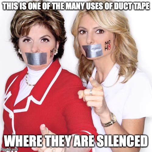 No H8 | THIS IS ONE OF THE MANY USES OF DUCT TAPE; WHERE THEY ARE SILENCED | image tagged in h8,duct tape,memes | made w/ Imgflip meme maker