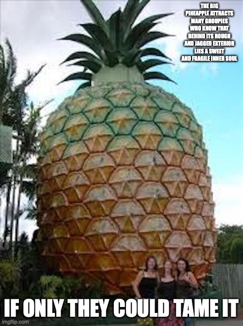 Big Pineapple | THE BIG PINEAPPLE ATTRACTS MANY GROUPIES WHO KNOW THAT BEHIND ITS ROUGH AND JAGGED EXTERIOR LIES A SWEET AND FRAGILE INNER SOUL; IF ONLY THEY COULD TAME IT | image tagged in australia,memes | made w/ Imgflip meme maker