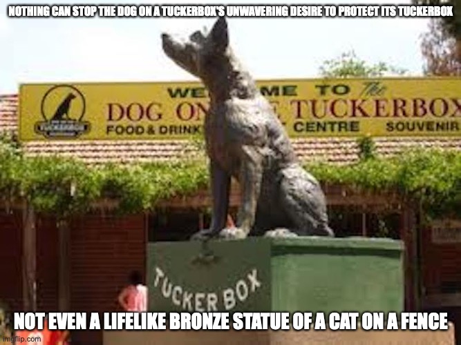 Animal tuckerbox dog on sale enclosure