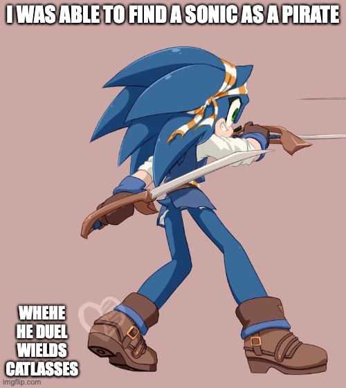 Sonic as a Pirate | I WAS ABLE TO FIND A SONIC AS A PIRATE; WHEHE HE DUEL WIELDS CATLASSES | image tagged in sonic the hedgehog,pirate,memes | made w/ Imgflip meme maker