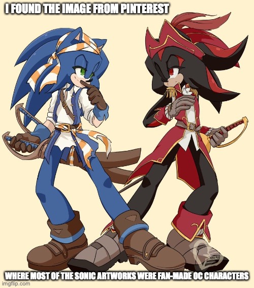 Sonic and Shadow | I FOUND THE IMAGE FROM PINTEREST; WHERE MOST OF THE SONIC ARTWORKS WERE FAN-MADE OC CHARACTERS | image tagged in sonic the hedgehog,pirate,memes | made w/ Imgflip meme maker