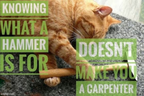This lolcat says: 'Knowing what a hammer is for doesn't make you a carpenter' | image tagged in lolcat,knowledge | made w/ Imgflip meme maker