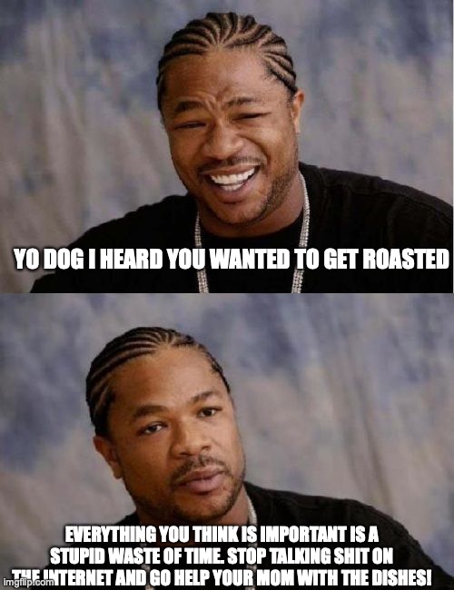 YO DOG I HEARD YOU WANTED TO GET ROASTED EVERYTHING YOU THINK IS IMPORTANT IS A STUPID WASTE OF TIME. STOP TALKING SHIT ON THE INTERNET AND  | image tagged in memes,yo dawg heard you,serious xzibit | made w/ Imgflip meme maker