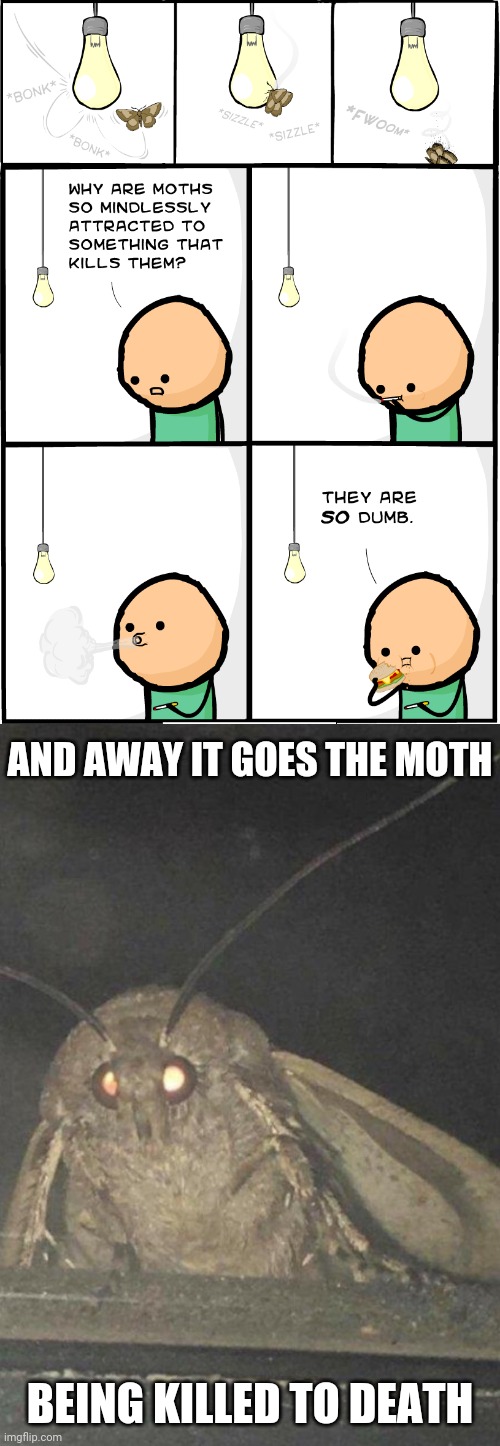 Moth | AND AWAY IT GOES THE MOTH; BEING KILLED TO DEATH | image tagged in moth,dark humor,comic,moths,cyanide and happiness,memes | made w/ Imgflip meme maker