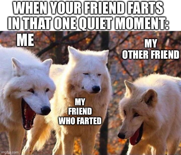 It’s always when everybody goes quiet | WHEN YOUR FRIEND FARTS IN THAT ONE QUIET MOMENT:; ME; MY OTHER FRIEND; MY FRIEND WHO FARTED | image tagged in wolf,haha,msmg | made w/ Imgflip meme maker