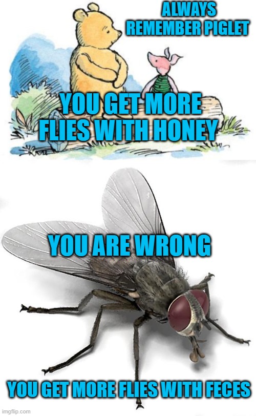 ALWAYS REMEMBER PIGLET; YOU GET MORE FLIES WITH HONEY; YOU ARE WRONG; YOU GET MORE FLIES WITH FECES | image tagged in winnie the pooh and piglet,scumbag house fly | made w/ Imgflip meme maker