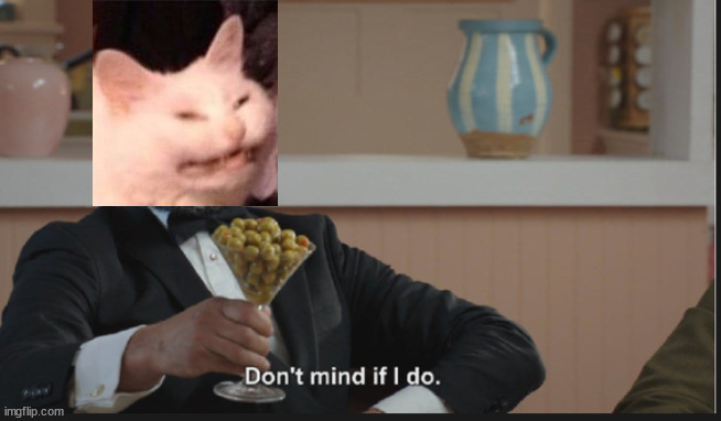When some lady is yelling at you from accross the table and you have a chance to look disgusted... | image tagged in dont mind if i do,disgusted cat,cat,woman yelling at cat,shaken not stirred,mew | made w/ Imgflip meme maker