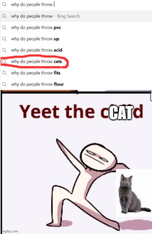 Yeeting the cat | image tagged in yeet the cat,yeet,why do people do this | made w/ Imgflip meme maker