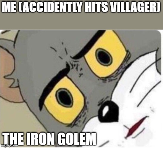 happens every time | ME (ACCIDENTLY HITS VILLAGER); THE IRON GOLEM | image tagged in tom and jerry meme | made w/ Imgflip meme maker