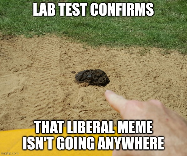 Because it's manure | LAB TEST CONFIRMS THAT LIBERAL MEME ISN'T GOING ANYWHERE | image tagged in bullshit | made w/ Imgflip meme maker