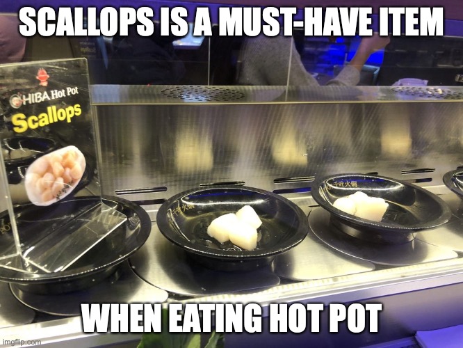 Scallops | SCALLOPS IS A MUST-HAVE ITEM; WHEN EATING HOT POT | image tagged in food,memes | made w/ Imgflip meme maker