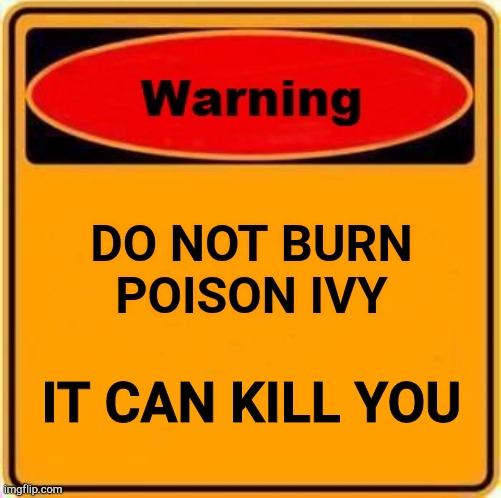 Warning Sign Meme | DO NOT BURN POISON IVY IT CAN KILL YOU | image tagged in memes,warning sign | made w/ Imgflip meme maker