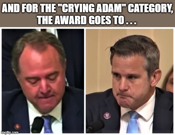 the crying Adams | AND FOR THE "CRYING ADAM" CATEGORY,
THE AWARD GOES TO . . . | image tagged in political humor,adam schiff,adam kinzinger,democrat congressmen,award,crying | made w/ Imgflip meme maker
