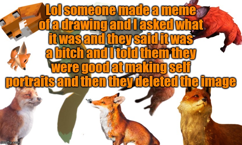 Lol someone made a meme of a drawing and I asked what it was and they said it was a bitch and I told them they were good at making self portraits and then they deleted the image | image tagged in video game foxes | made w/ Imgflip meme maker