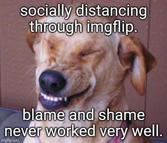 dog laugh | socially distancing through imgflip. blame and shame never worked very well. | image tagged in dog laugh | made w/ Imgflip meme maker