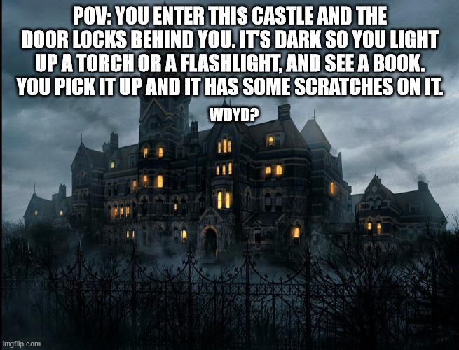 book. | POV: YOU ENTER THIS CASTLE AND THE DOOR LOCKS BEHIND YOU. IT'S DARK SO YOU LIGHT UP A TORCH OR A FLASHLIGHT, AND SEE A BOOK. YOU PICK IT UP AND IT HAS SOME SCRATCHES ON IT. WDYD? | made w/ Imgflip meme maker