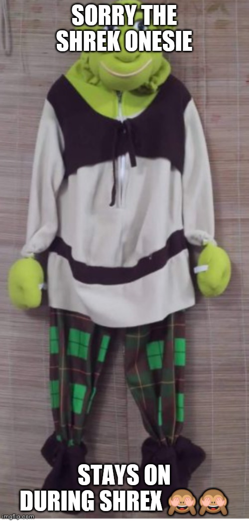 SORRY THE SHREK ONESIE; STAYS ON DURING SHREX 🙈🙈 | made w/ Imgflip meme maker