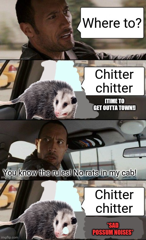 Possum memes |  You know the rules! No rats in my cab! *SAD POSSUM NOISES* | image tagged in the rock driving,possum,cab driver,get outta here,cute animals | made w/ Imgflip meme maker