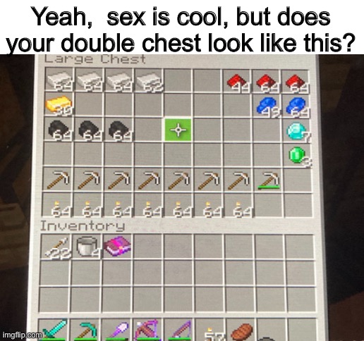 It’s not much, but it was honest work | Yeah,  sex is cool, but does your double chest look like this? | image tagged in blank white template | made w/ Imgflip meme maker