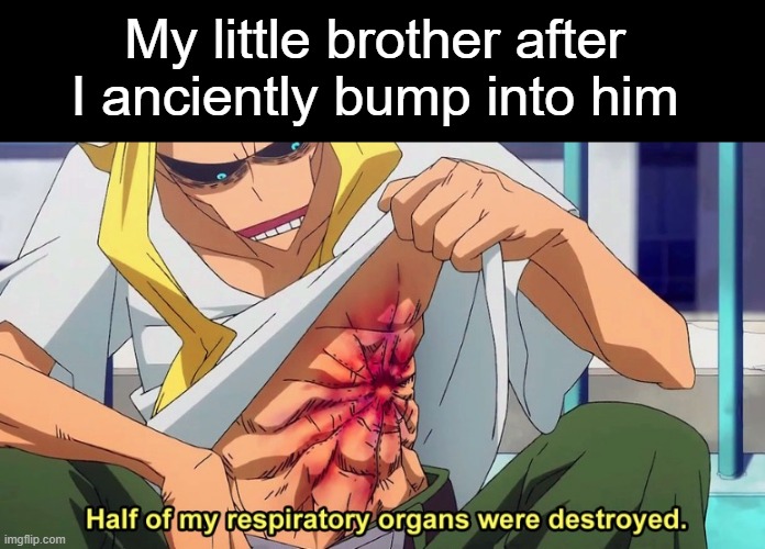 Half of my respiratory organs were destroyed |  My little brother after I anciently bump into him | image tagged in half of my respiratory organs were destroyed | made w/ Imgflip meme maker
