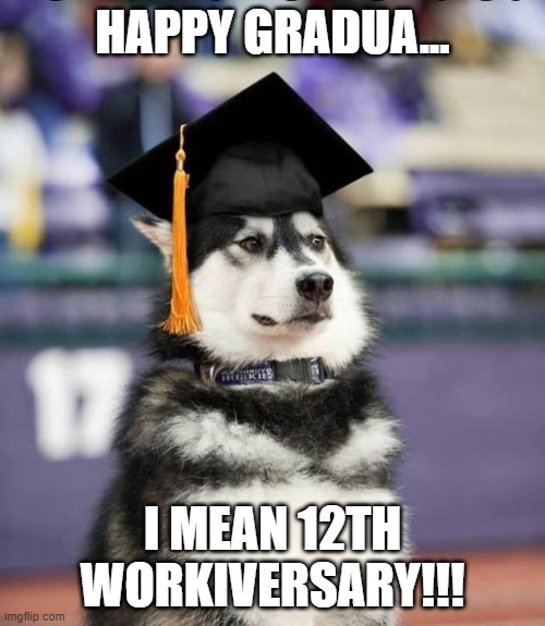 12th workiversary | HAPPY GRADUA... I MEAN 12TH WORKIVERSARY!!! | image tagged in graduate dog | made w/ Imgflip meme maker