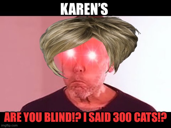 Is this … 2010? | KAREN’S; ARE YOU BLIND!? I SAID 300 CATS!? | image tagged in nani | made w/ Imgflip meme maker