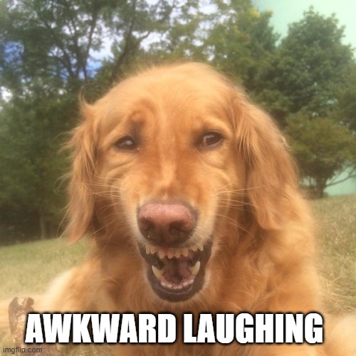 Awkward laugh dog | AWKWARD LAUGHING | image tagged in awkward laugh dog | made w/ Imgflip meme maker