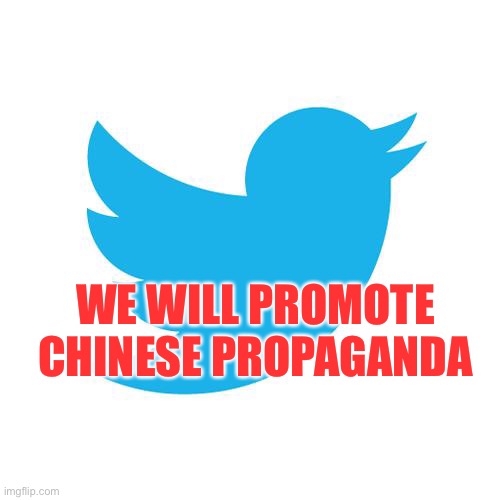 Twitter birds says | WE WILL PROMOTE CHINESE PROPAGANDA | image tagged in twitter birds says | made w/ Imgflip meme maker