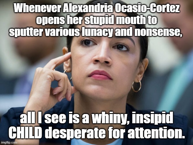 Political meme: Whenever AOC speaks, all I see is a whiny, insipid CHILD desperate for attention. |  Whenever Alexandria Ocasio-Cortez opens her stupid mouth to sputter various lunacy and nonsense, all I see is a whiny, insipid CHILD desperate for attention. | image tagged in memes,political memes,politics,american politics,aoc,crazy aoc | made w/ Imgflip meme maker