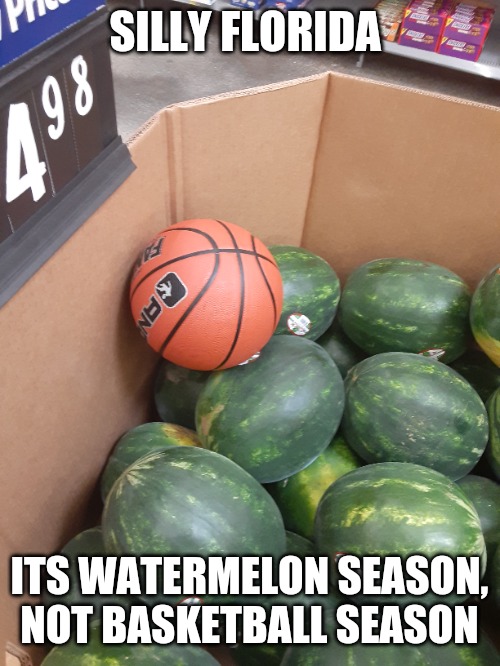 Silly Florida | SILLY FLORIDA; ITS WATERMELON SEASON, NOT BASKETBALL SEASON | image tagged in basketball,watermelon | made w/ Imgflip meme maker