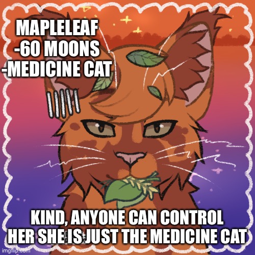 We needed a medicine cat | MAPLELEAF
-60 MOONS
-MEDICINE CAT; KIND, ANYONE CAN CONTROL HER SHE IS JUST THE MEDICINE CAT | made w/ Imgflip meme maker