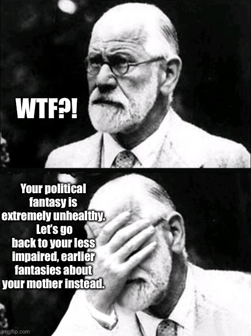 Freud | WTF?! Your political fantasy is extremely unhealthy.  Let’s go back to your less impaired, earlier fantasies about your mother instead. | image tagged in freud | made w/ Imgflip meme maker