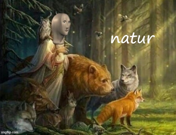 when u natur | image tagged in meme man natur | made w/ Imgflip meme maker