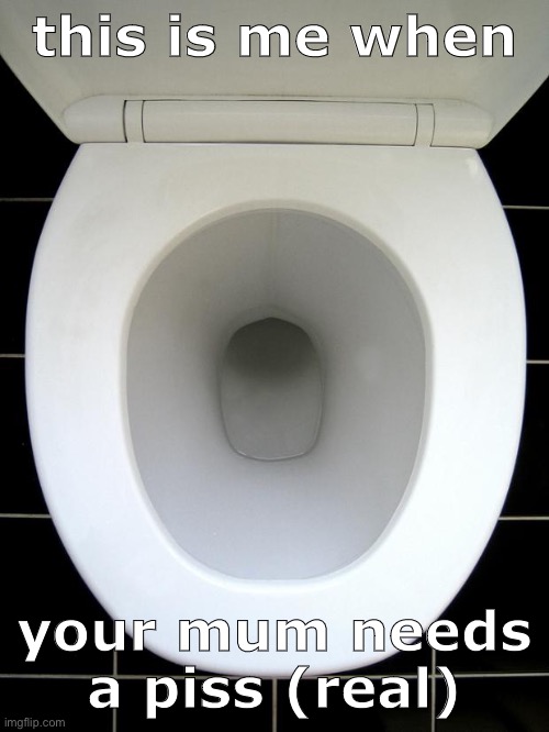 verdana > impact lolz | this is me when; your mum needs a piss (real) | image tagged in toilet,deez nuts,joe mama,your mum,your mum is gay | made w/ Imgflip meme maker