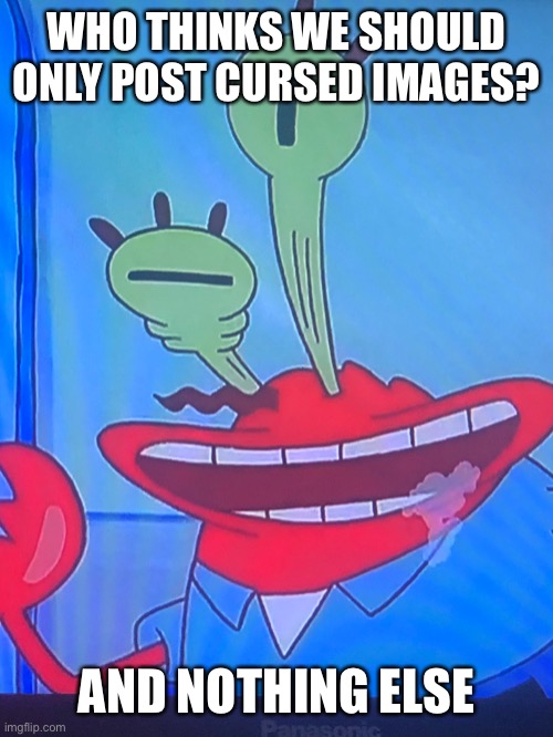Jaj | WHO THINKS WE SHOULD ONLY POST CURSED IMAGES? AND NOTHING ELSE | made w/ Imgflip meme maker