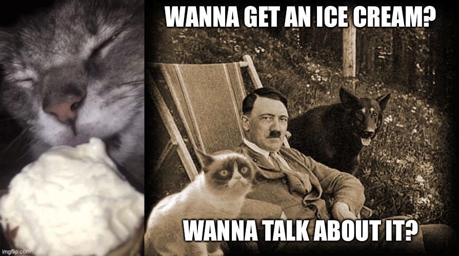 Wanna talk about it? | WANNA GET AN ICE CREAM? WANNA TALK ABOUT IT? | image tagged in grumpy cat with hitler | made w/ Imgflip meme maker