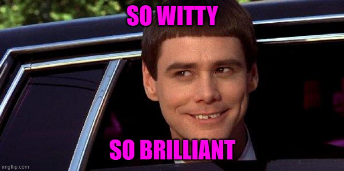 dumb and dumber | SO WITTY SO BRILLIANT | image tagged in dumb and dumber | made w/ Imgflip meme maker