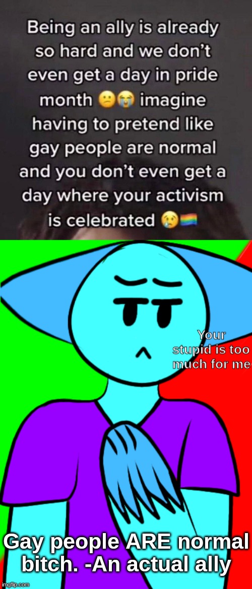 Gay people ARE normal bitch. -An actual ally | image tagged in your stupid is too much for me | made w/ Imgflip meme maker