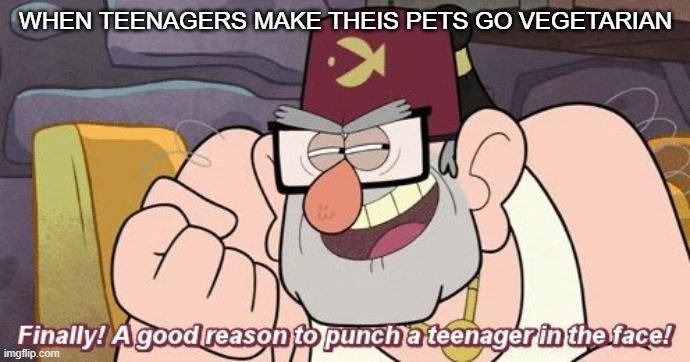 weafdc | WHEN TEENAGERS MAKE THEIS PETS GO VEGETARIAN | image tagged in finally a good reason to punch a teenager in the face | made w/ Imgflip meme maker
